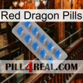 Red Dragon Pills 22